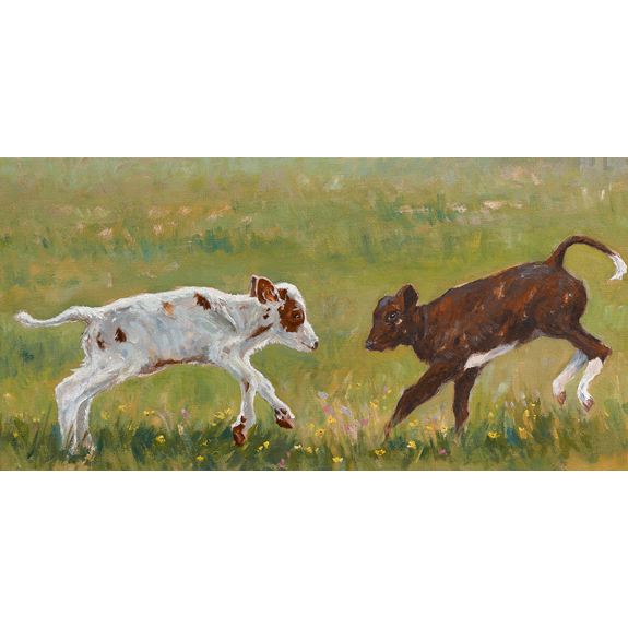 Kicking Calves - Canvas Print