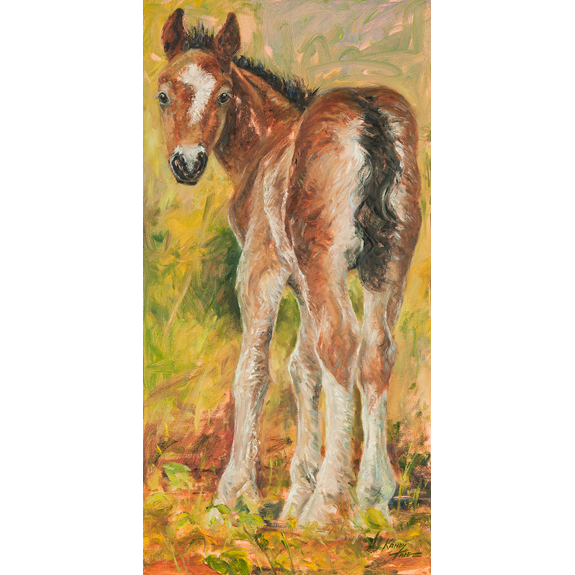 Lil' Santa Fe - Canvas Print