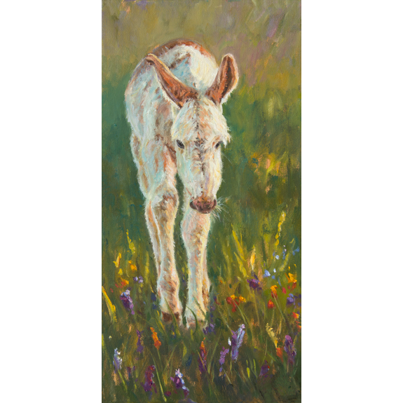 Spring Walk - Canvas Print