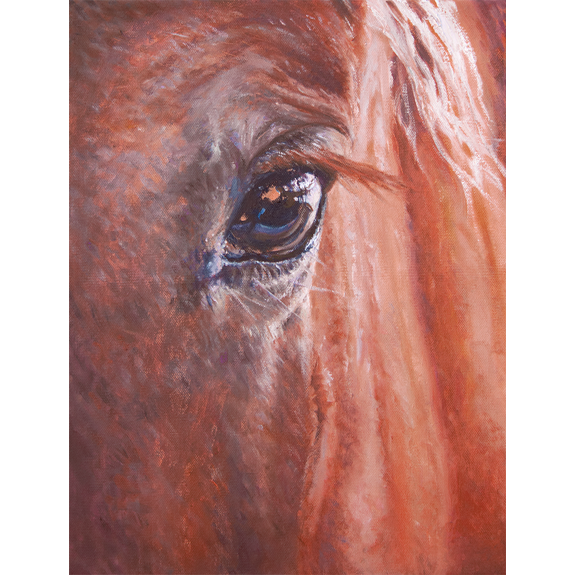 The Eye of the Horse - Canvas Print